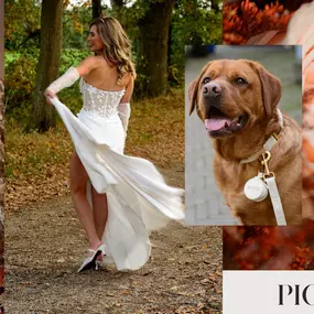 Bild von picturesbygj