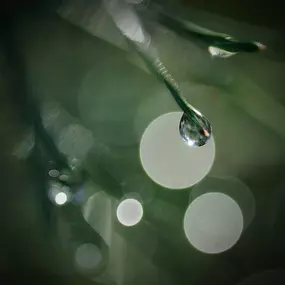 Bild von picturesbygj