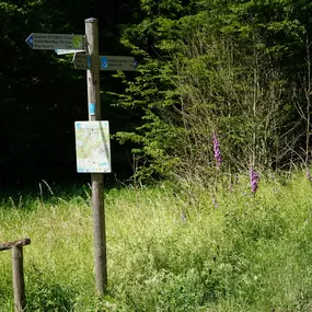 Bild von Fasten & Balance - Larissa Hoffmann