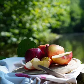 Bild von Fasten & Balance - Larissa Hoffmann