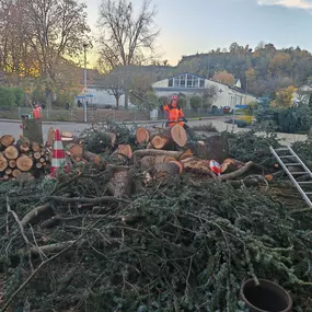 Bild von Badischer-Servicedienst