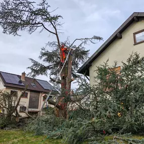 Bild von Badischer-Servicedienst