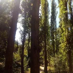 Bild von Lysmar, Centro de Psicología.