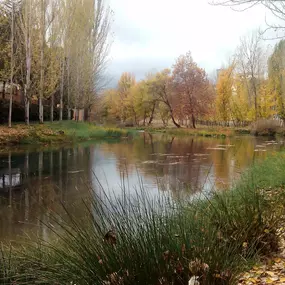 Bild von Lysmar, Centro de Psicología.