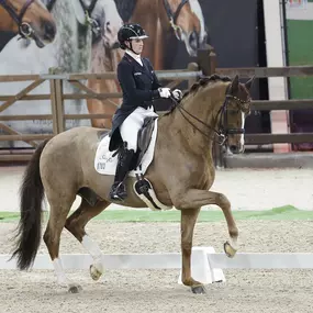 Bild von Joana Peterka Dressage