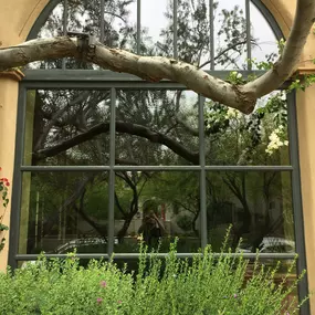 Bild von Squeegee Bros Window Cleaning