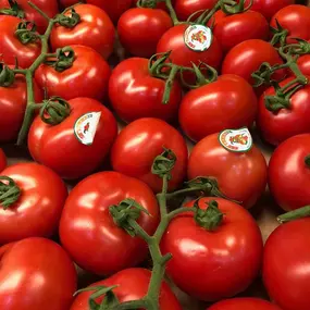 Bild von Karl Haegeli Erben AG