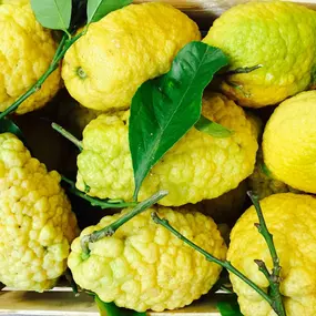 Bild von Karl Haegeli Erben AG