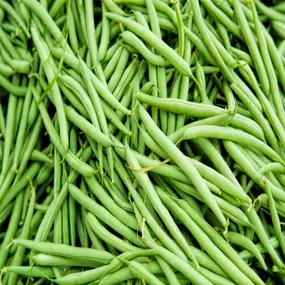 Bild von Karl Haegeli Erben AG