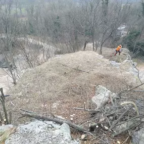 Bild von Galli Manuel