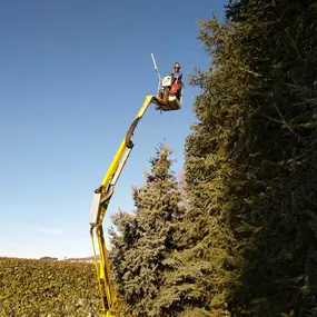 Bild von Galli Manuel