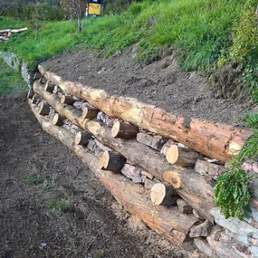 Bild von Galli Manuel