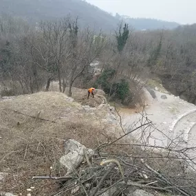 Bild von Galli Manuel