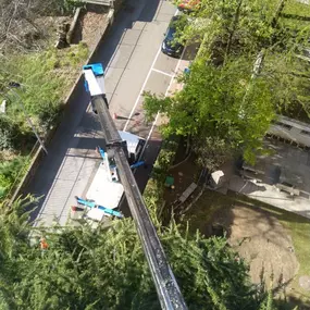 Bild von Galli Manuel