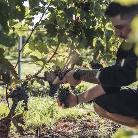 Bild von Domaine des Biolles