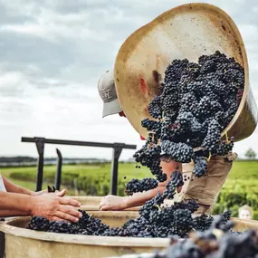 Bild von Domaine des Biolles