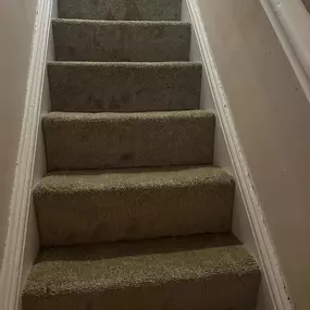 Bild von Da Vinci Carpets