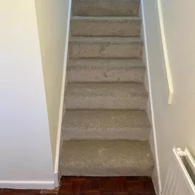 Bild von Da Vinci Carpets