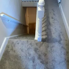 Bild von Da Vinci Carpets