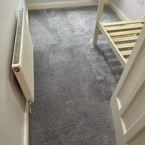 Bild von Da Vinci Carpets