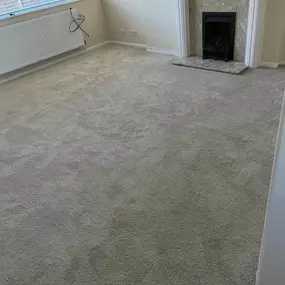 Bild von Da Vinci Carpets