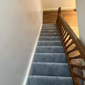 Bild von Da Vinci Carpets