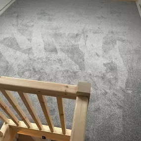 Bild von Da Vinci Carpets