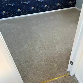 Bild von Da Vinci Carpets