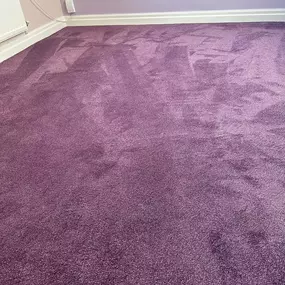 Bild von Da Vinci Carpets