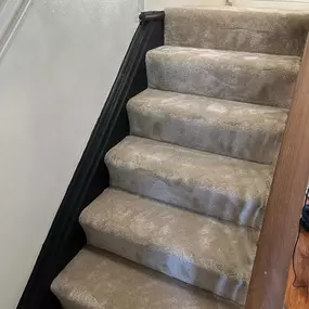 Bild von Da Vinci Carpets