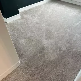 Bild von Da Vinci Carpets