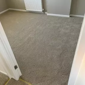 Bild von Da Vinci Carpets