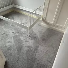 Bild von Da Vinci Carpets