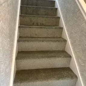 Bild von Da Vinci Carpets