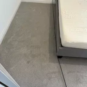 Bild von Da Vinci Carpets