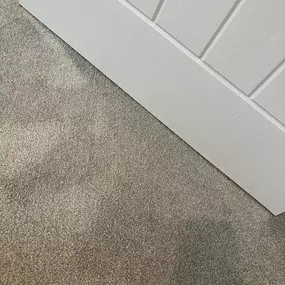 Bild von Da Vinci Carpets