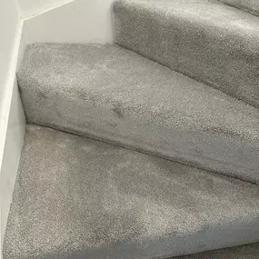 Bild von Da Vinci Carpets