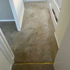 Bild von Da Vinci Carpets