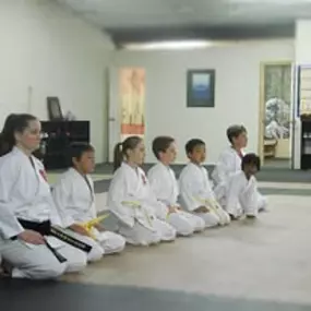 Bild von The Woodlands Shotokan Karate