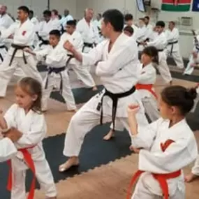 Bild von The Woodlands Shotokan Karate