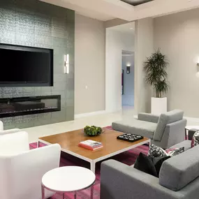Living Area With TV And Fireplace