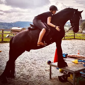 Bild von LD  Reitcoaching