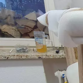 Bild von Raumausstattung Kiefersauer GmbH