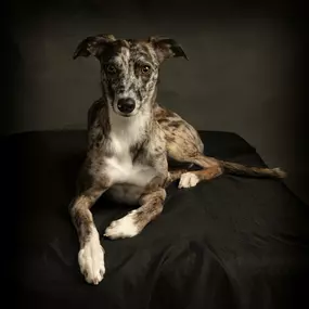 Bild von John Jenkins Photography