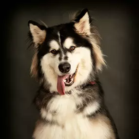 Bild von John Jenkins Photography