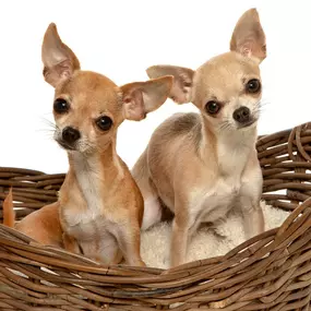 Bild von John Jenkins Photography