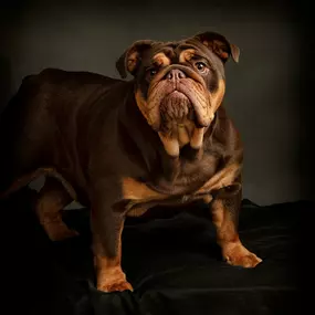 Bild von John Jenkins Photography