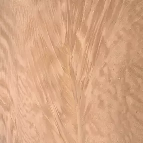 Bild von Acme Fine Cabinetry & Millwork LLC