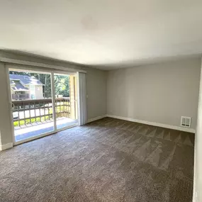 Apartment Living Room & Balcony