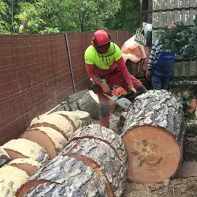 Bild von Baumpflegebetrieb Schulze